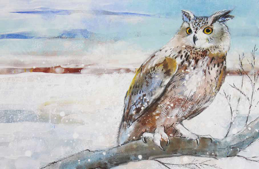 Getekend en geschilderd in witte winterwereld